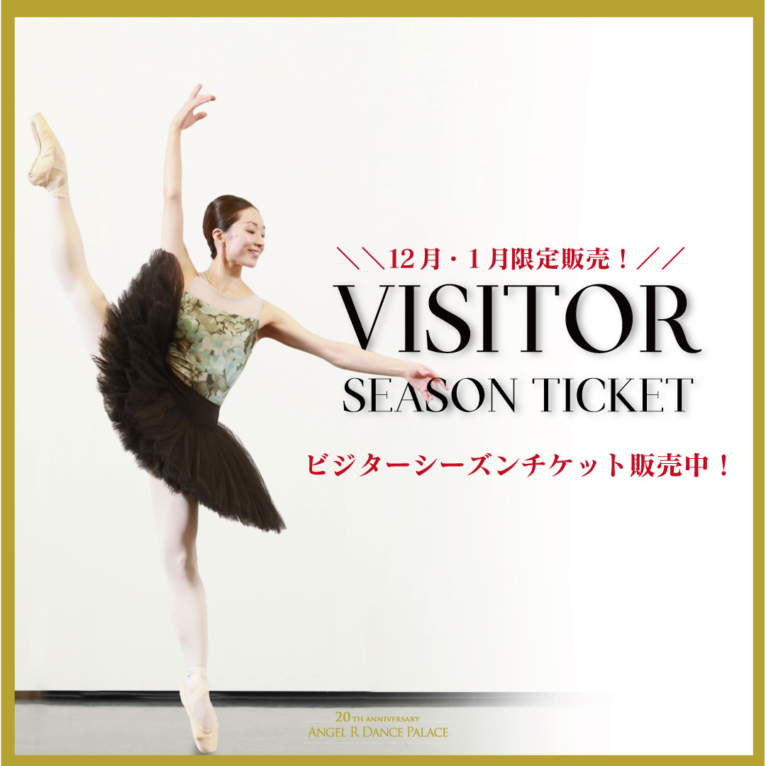 ビジターシーズンチケット販売中！
